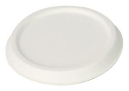 Pulp Lid for 4oz Cup
