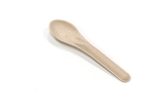 Spoon