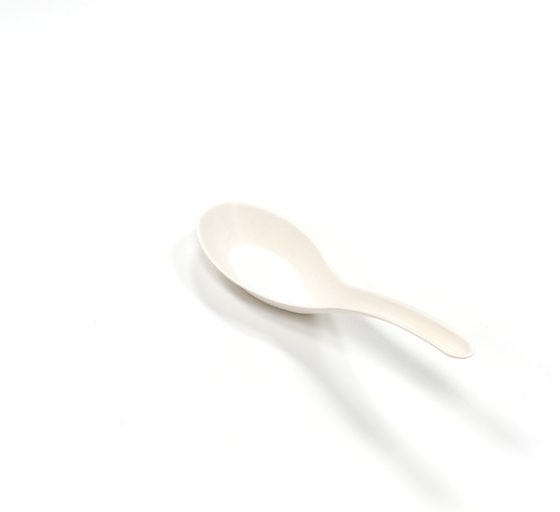 Chinese Spoon