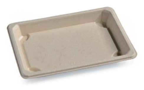 Sushi tray 08