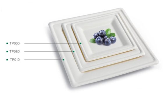 8'' Square Tray