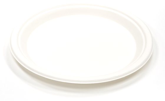 10" Plate
