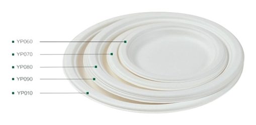 6" Plate