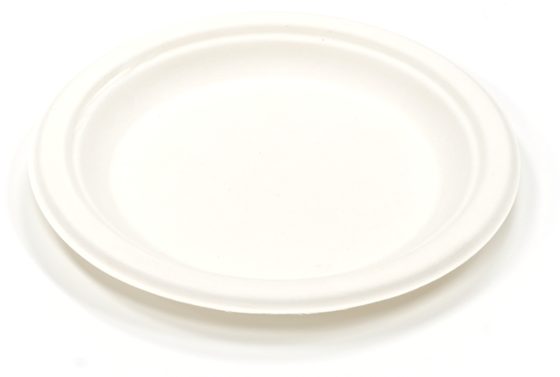7" Plate