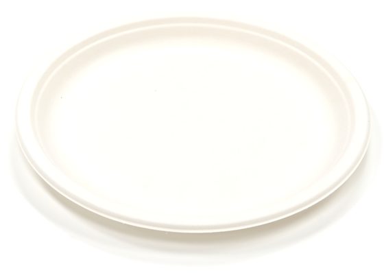 8"Plate