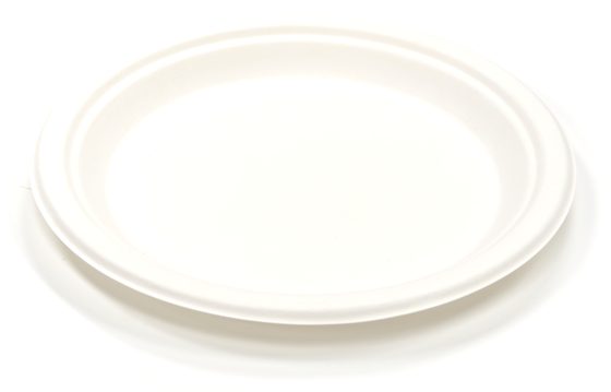 9" Plate