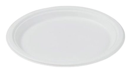 Big 9" Plate