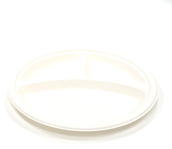 10" 3-compartment Plate
